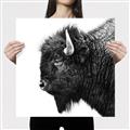 Picture of Buffalo Head _GroupedProduct_Square_Photography _GroupedProduct_Square_Canvas_
