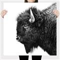 Picture of Buffalo Head _GroupedProduct_Square_Photography _GroupedProduct_Square_Canvas_