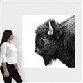 Picture of Buffalo Head _GroupedProduct_Square_Photography _GroupedProduct_Square_Canvas_