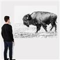 Picture of Buffalo March _GroupedProduct_Rectangle_Landscape_Photography _GroupedProduct_Rectangle_Landscape_Canvas_