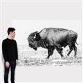 Picture of Buffalo March _GroupedProduct_Rectangle_Landscape_Photography _GroupedProduct_Rectangle_Landscape_Canvas_