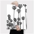 Picture of California Palms _GroupedProduct_Rectangle_Portrait_Photography _GroupedProduct_Rectangle_Portrait_Canvas_
