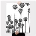 Picture of California Palms _GroupedProduct_Rectangle_Portrait_Photography _GroupedProduct_Rectangle_Portrait_Canvas_