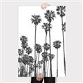 Picture of California Palms _GroupedProduct_Rectangle_Portrait_Photography _GroupedProduct_Rectangle_Portrait_Canvas_