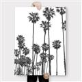 Picture of California Palms _GroupedProduct_Rectangle_Portrait_Photography _GroupedProduct_Rectangle_Portrait_Canvas_