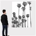 Picture of California Palms _GroupedProduct_Rectangle_Portrait_Photography _GroupedProduct_Rectangle_Portrait_Canvas_