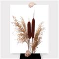 Picture of Cattails  _GroupedProduct_Rectangle_Portrait_Photography _GroupedProduct_Rectangle_Portrait_Canvas_