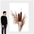 Picture of Cattails  _GroupedProduct_Rectangle_Portrait_Photography _GroupedProduct_Rectangle_Portrait_Canvas_