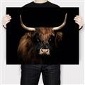 Picture of Dixie, the Bull   _GroupedProduct_Rectangle_Landscape_Photography _GroupedProduct_Rectangle_Landscape_Canvas_