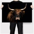 Picture of Dixie, the Bull   _GroupedProduct_Rectangle_Landscape_Photography _GroupedProduct_Rectangle_Landscape_Canvas_