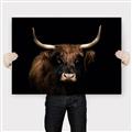 Picture of Dixie, the Bull   _GroupedProduct_Rectangle_Landscape_Photography _GroupedProduct_Rectangle_Landscape_Canvas_