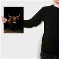Picture of Dixie, the Bull II _GroupedProduct_Rectangle_Portrait_Photography _GroupedProduct_Rectangle_Portrait_Canvas_
