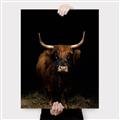 Picture of Dixie, the Bull II _GroupedProduct_Rectangle_Portrait_Photography _GroupedProduct_Rectangle_Portrait_Canvas_