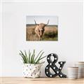 Picture of Beautiful Cow, Bella  _GroupedProduct_Rectangle_Landscape_Photography _GroupedProduct_Rectangle_Landscape_Canvas_