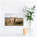 Picture of Beautiful Cow, Bella  _GroupedProduct_Rectangle_Landscape_Photography _GroupedProduct_Rectangle_Landscape_Canvas_