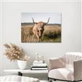 Picture of Beautiful Cow, Bella  _GroupedProduct_Rectangle_Landscape_Photography _GroupedProduct_Rectangle_Landscape_Canvas_