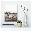 Picture of Bicycle Basket _GroupedProduct_Rectangle_Portrait_Photography _GroupedProduct_Rectangle_Portrait_Canvas_
