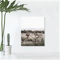Picture of Bicycle Basket _GroupedProduct_Rectangle_Portrait_Photography _GroupedProduct_Rectangle_Portrait_Canvas_