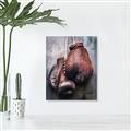 Picture of Boxing Gloves _GroupedProduct_Rectangle_Portrait_Photography _GroupedProduct_Rectangle_Portrait_Canvas_