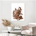 Picture of Brown Fall  _GroupedProduct_Rectangle_Portrait_Photography _GroupedProduct_Rectangle_Portrait_Canvas_