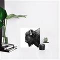 Picture of Buffalo Head _GroupedProduct_Square_Photography _GroupedProduct_Square_Canvas_