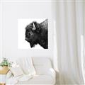Picture of Buffalo Head _GroupedProduct_Square_Photography _GroupedProduct_Square_Canvas_