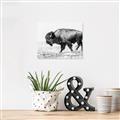 Picture of Buffalo March _GroupedProduct_Rectangle_Landscape_Photography _GroupedProduct_Rectangle_Landscape_Canvas_