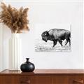 Picture of Buffalo March _GroupedProduct_Rectangle_Landscape_Photography _GroupedProduct_Rectangle_Landscape_Canvas_