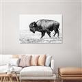 Picture of Buffalo March _GroupedProduct_Rectangle_Landscape_Photography _GroupedProduct_Rectangle_Landscape_Canvas_