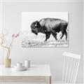 Picture of Buffalo March _GroupedProduct_Rectangle_Landscape_Photography _GroupedProduct_Rectangle_Landscape_Canvas_