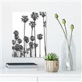 Picture of California Palms _GroupedProduct_Rectangle_Portrait_Photography _GroupedProduct_Rectangle_Portrait_Canvas_