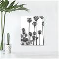 Picture of California Palms _GroupedProduct_Rectangle_Portrait_Photography _GroupedProduct_Rectangle_Portrait_Canvas_