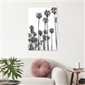 Picture of California Palms _GroupedProduct_Rectangle_Portrait_Photography _GroupedProduct_Rectangle_Portrait_Canvas_