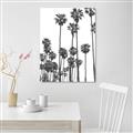 Picture of California Palms _GroupedProduct_Rectangle_Portrait_Photography _GroupedProduct_Rectangle_Portrait_Canvas_