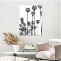 Picture of California Palms _GroupedProduct_Rectangle_Portrait_Photography _GroupedProduct_Rectangle_Portrait_Canvas_