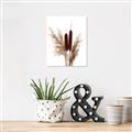 Picture of Cattails  _GroupedProduct_Rectangle_Portrait_Photography _GroupedProduct_Rectangle_Portrait_Canvas_