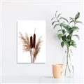 Picture of Cattails  _GroupedProduct_Rectangle_Portrait_Photography _GroupedProduct_Rectangle_Portrait_Canvas_