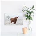 Picture of Cookie, the Cow  _GroupedProduct_Rectangle_Landscape_Photography _GroupedProduct_Rectangle_Landscape_Canvas_