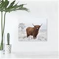 Picture of Cookie, the Cow  _GroupedProduct_Rectangle_Landscape_Photography _GroupedProduct_Rectangle_Landscape_Canvas_