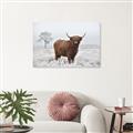 Picture of Cookie, the Cow  _GroupedProduct_Rectangle_Landscape_Photography _GroupedProduct_Rectangle_Landscape_Canvas_