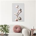 Picture of Cotton _GroupedProduct_Rectangle_Portrait_Photography _GroupedProduct_Rectangle_Portrait_Canvas_