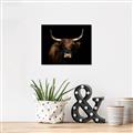 Picture of Dixie, the Bull   _GroupedProduct_Rectangle_Landscape_Photography _GroupedProduct_Rectangle_Landscape_Canvas_