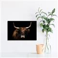 Picture of Dixie, the Bull   _GroupedProduct_Rectangle_Landscape_Photography _GroupedProduct_Rectangle_Landscape_Canvas_