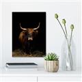 Picture of Dixie, the Bull II _GroupedProduct_Rectangle_Portrait_Photography _GroupedProduct_Rectangle_Portrait_Canvas_