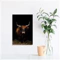 Picture of Dixie, the Bull II _GroupedProduct_Rectangle_Portrait_Photography _GroupedProduct_Rectangle_Portrait_Canvas_