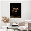 Picture of Dixie, the Bull II _GroupedProduct_Rectangle_Portrait_Photography _GroupedProduct_Rectangle_Portrait_Canvas_