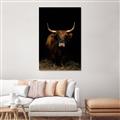 Picture of Dixie, the Bull II _GroupedProduct_Rectangle_Portrait_Photography _GroupedProduct_Rectangle_Portrait_Canvas_