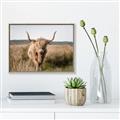 Picture of Beautiful Cow, Bella  _GroupedProduct_Rectangle_Landscape_Photography _GroupedProduct_Rectangle_Landscape_Canvas_Framed_