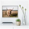 Picture of Beautiful Cow, Bella  _GroupedProduct_Rectangle_Landscape_Photography _GroupedProduct_Rectangle_Landscape_Canvas_Framed_