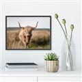Picture of Beautiful Cow, Bella  _GroupedProduct_Rectangle_Landscape_Photography _GroupedProduct_Rectangle_Landscape_Canvas_Framed_